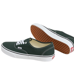 Vans Authentic Color Theory Scarab VN000D7YPRM1